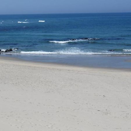 Afife & Insua Beach Apartment Viana do Castelo Exteriör bild