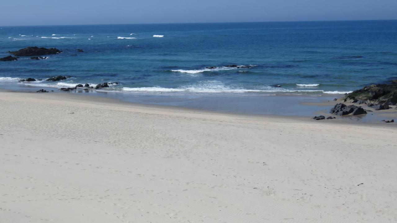 Afife & Insua Beach Apartment Viana do Castelo Exteriör bild